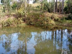 #37 - Terreno em condomínio para Venda em Portão - RS - 2